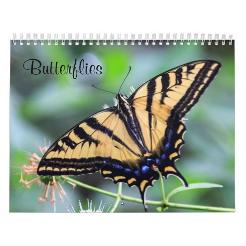 Butterflies Calendar