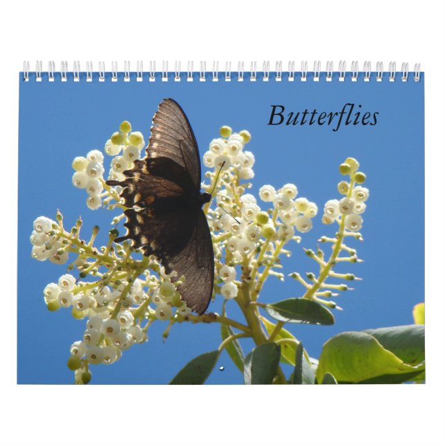 Butterflies calendar (Cover)