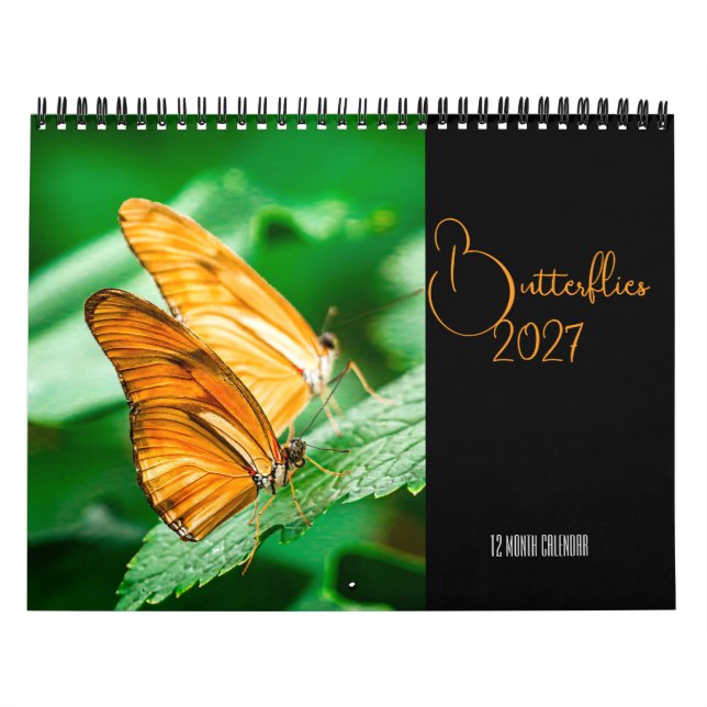 Butterflies Calendar 2027 (Cover)