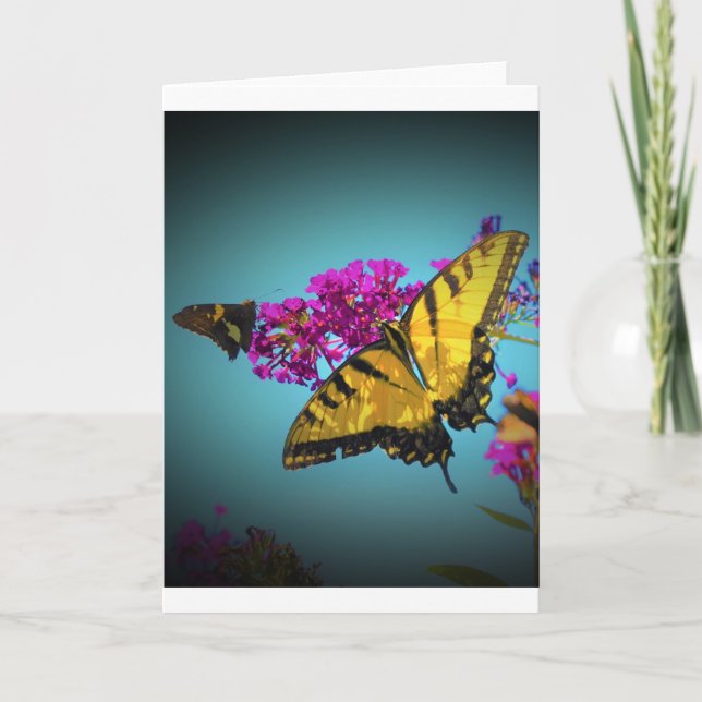 Butterflies, card (Front)