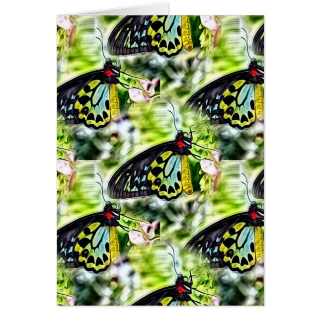 Butterflies Cards (Front)