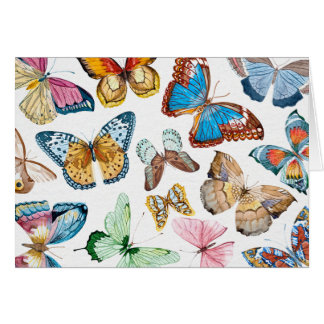 Butterflies Cards
