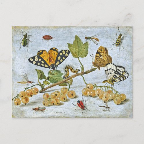 Butterflies caterpillar and fruits postcard