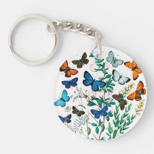 Butterflies Caterpillars by William Forsell Kirby Keychain