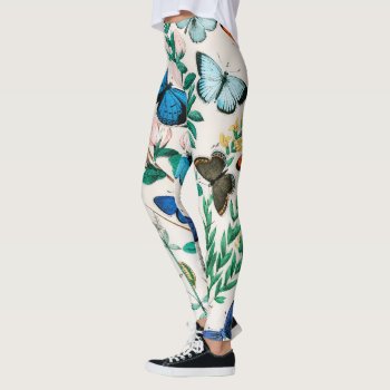 Butterflies  Caterpillars By William Forsell Kirby Leggings by colorfulworld at Zazzle