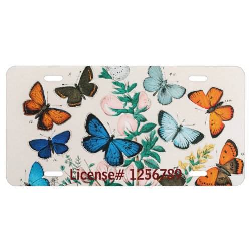 Butterflies Caterpillars by William Forsell Kirby License Plate