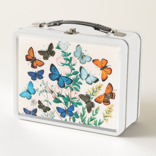 Butterflies Caterpillars by William Forsell Kirby Metal Lunch Box