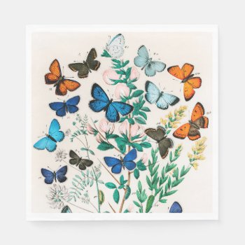 Butterflies  Caterpillars By William Forsell Kirby Napkins by colorfulworld at Zazzle