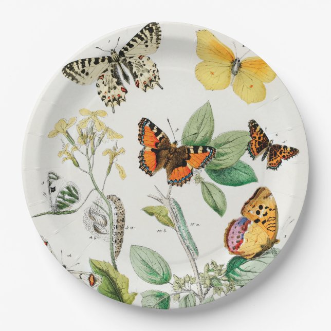 Butterflies, Caterpillars by William Forsell Kirby Paper Plates (Front)