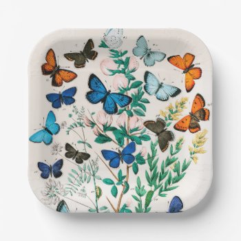 Butterflies  Caterpillars By William Forsell Kirby Paper Plates by colorfulworld at Zazzle