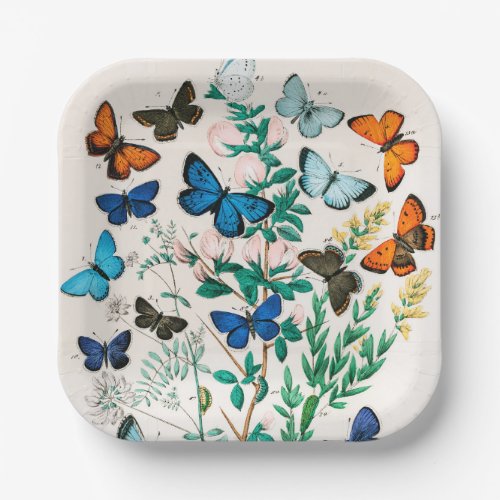 Butterflies Caterpillars by William Forsell Kirby Paper Plates