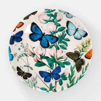 Butterflies  Caterpillars By William Forsell Kirby Paperweight by colorfulworld at Zazzle