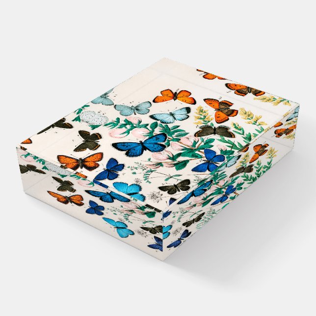 Butterflies, Caterpillars by William Forsell Kirby Paperweight (Angled)
