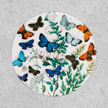 Butterflies  Caterpillars By William Forsell Kirby Patch by colorfulworld at Zazzle