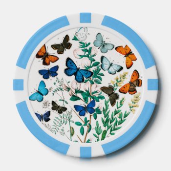 Butterflies  Caterpillars By William Forsell Kirby Poker Chips by colorfulworld at Zazzle
