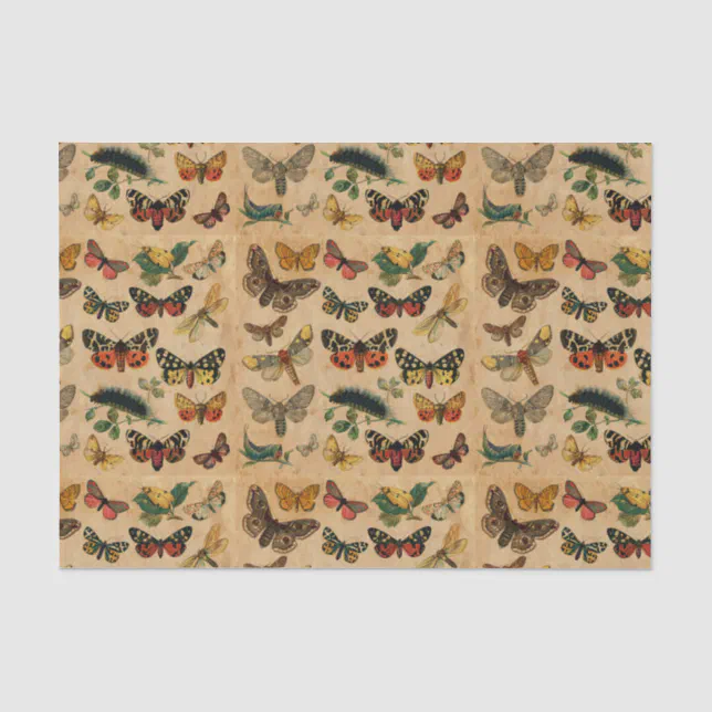 Butterflies Collection Vintage Antique Decoupage Tissue Paper | Zazzle
