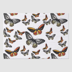 Butterflies everywhere wrapping paper