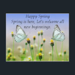 Butterflies Flowers Postcard<br><div class="desc">The step of spring is approaching,  if you like the spring season and all new beginnings,  you should buy it.</div>