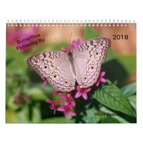 Butterflies Fluttering By Calendar