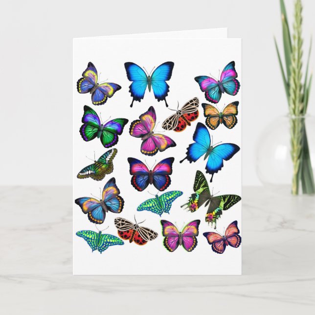 Butterflies Fluttering By Greeting Card (Front)