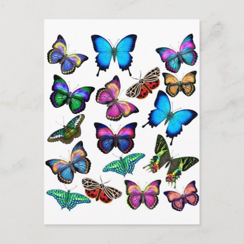 Butterflies Fluttering By Postcard