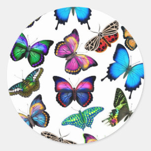 Butterflies Fluttering By Sticker