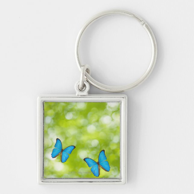Butterflies flying keychain (Front)