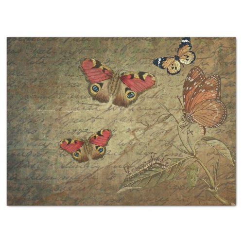Butterflies Frolicking on Old Script Tissue Paper