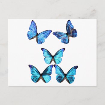 Butterflies Glow Postcard by Designs_Accessorize at Zazzle