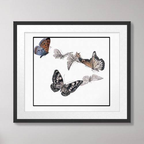 Butterflies illustration n Square butterfly frame Framed Art