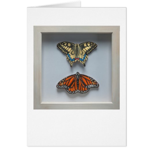 Butterflies 'in a frame' Entomology blank card (Front)