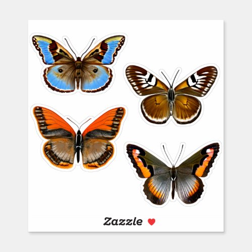 Butterflies in Brown Orange and Blue Sticker