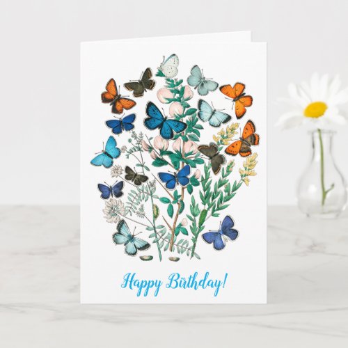 BUTTERFLIES IN NATURE BIRTHDAY CARD