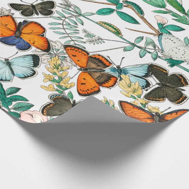 BUTTERFLIES IN NATURE WRAPPING PAPER (Corner)