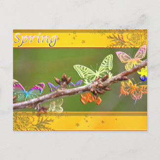 Butterflies in Spring Postcard