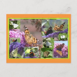 Butterflies in Summer Collage DIY Postcard