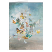 Butterflies in the Clouds (Front)