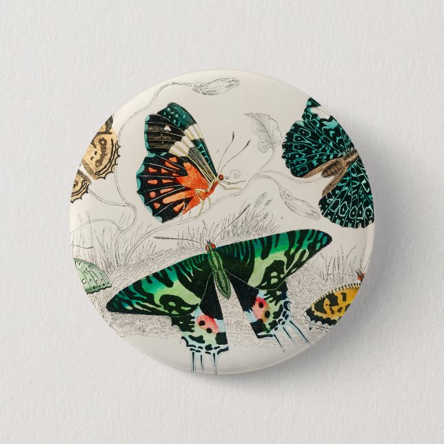 Butterflies Insects Bugs Button (Front)
