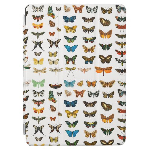 Butterflies iPad Air Cover