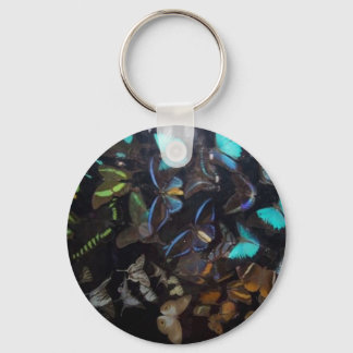 butterflies keychain