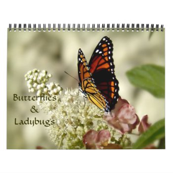 Butterflies & Ladybugs Photography Calendar by Vanillaextinctions at Zazzle