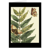 Butterflies & Leaves with Black Frame (Front)