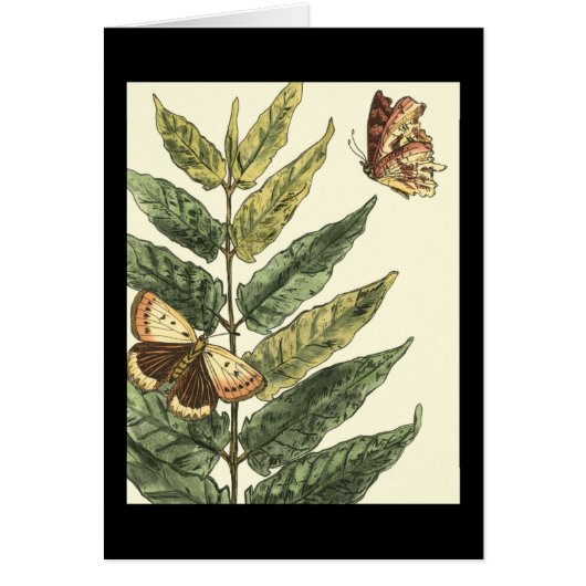 Butterflies & Leaves with Black Frame Cards (Front)