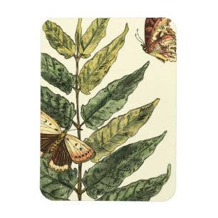 Butterflies & Leaves with Black Frame Magnet