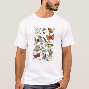 Butterflies & Moths 2 T-Shirt