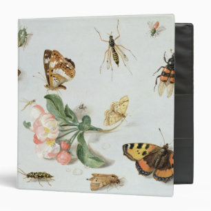 Butterflies, moths and other insects 3 ring binder
