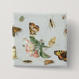 Butterflies, moths and other insects button