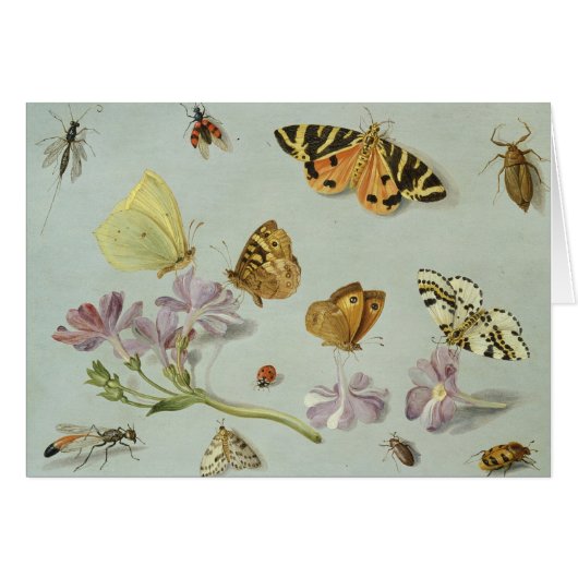 Butterflies, moths and other insects cards (Front Horizontal)