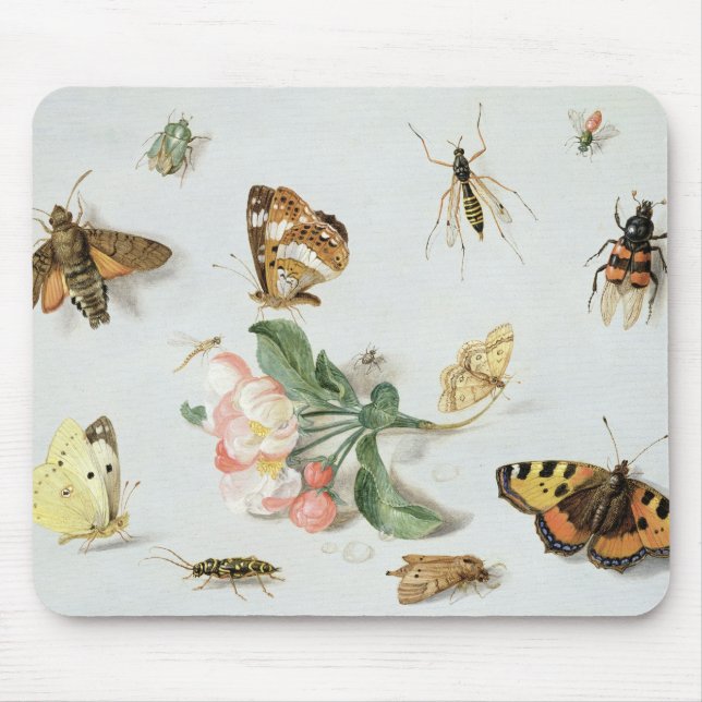 Butterflies, moths and other insects mouse pad (Front)