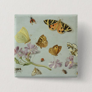 Butterflies, moths and other insects pinback button